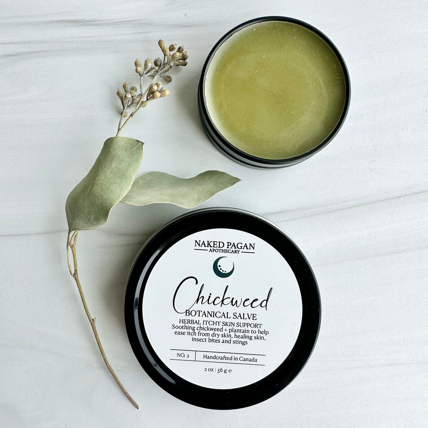 Chickweed Botanical Salve