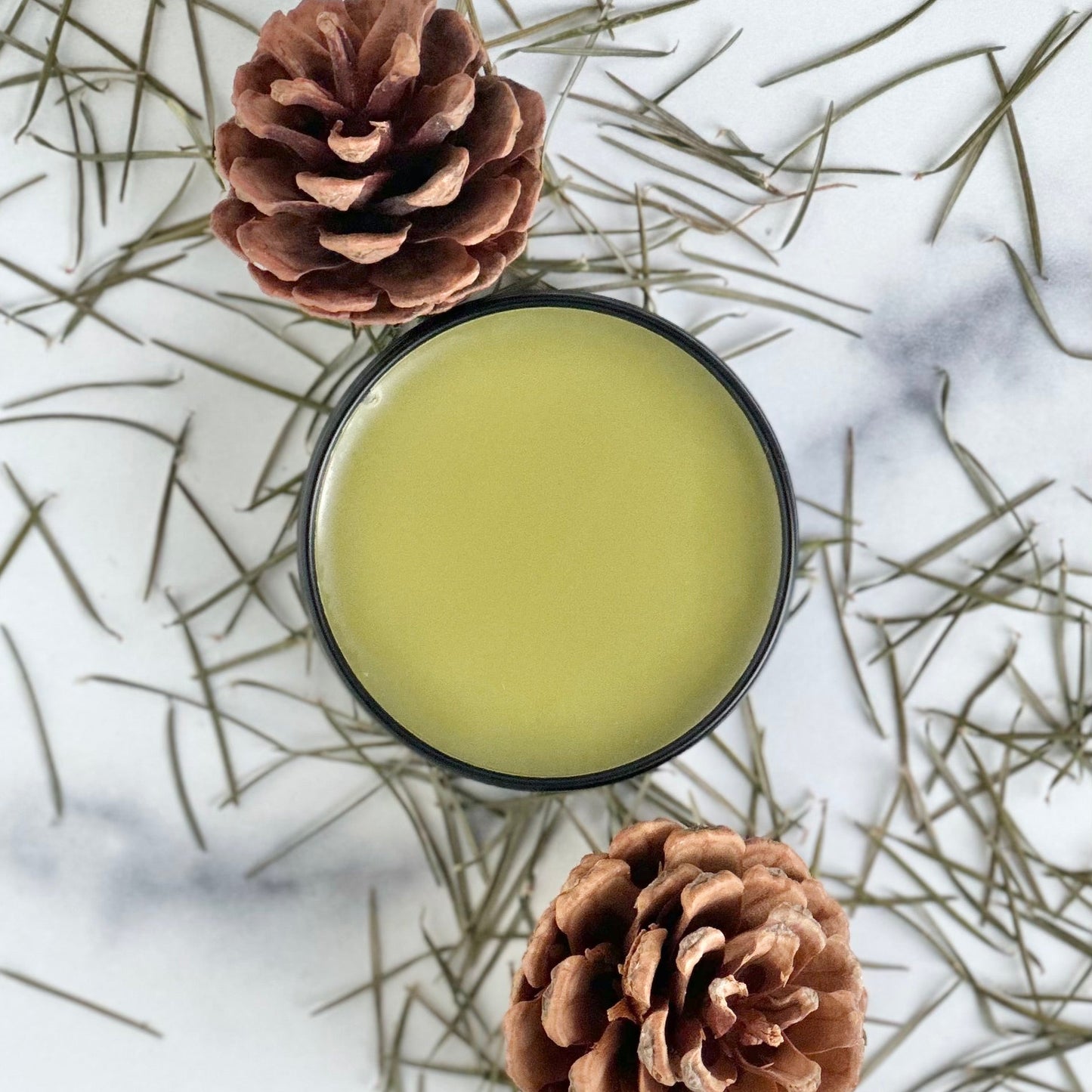 Pine Resin Botanical Salve