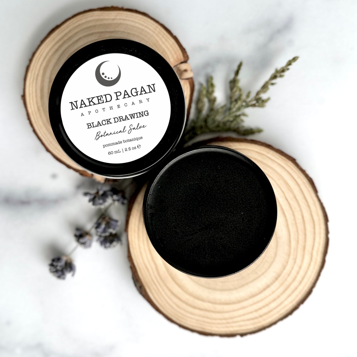 Black Drawing Botanical Salve