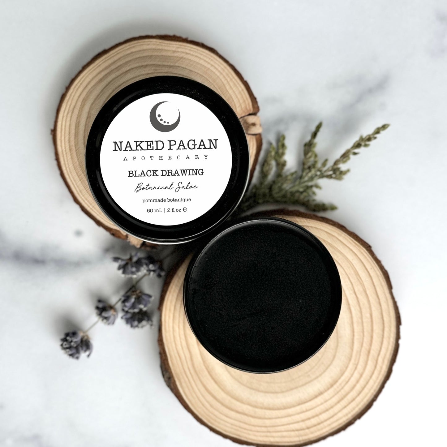 Black Drawing Botanical Salve
