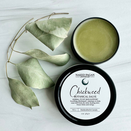 Chickweed Botanical Salve